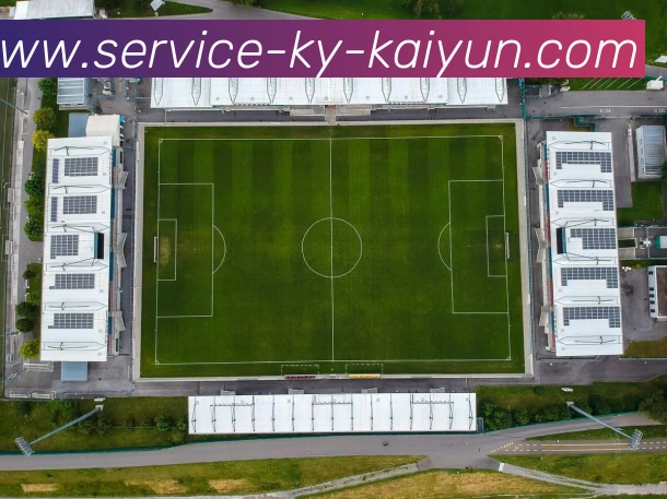 开云app平台生态图